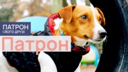 Патрон