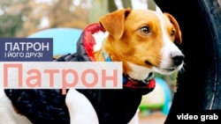 Патрон