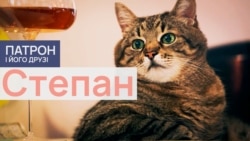 Степан