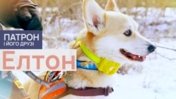 Елтон