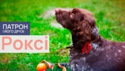 Роксi